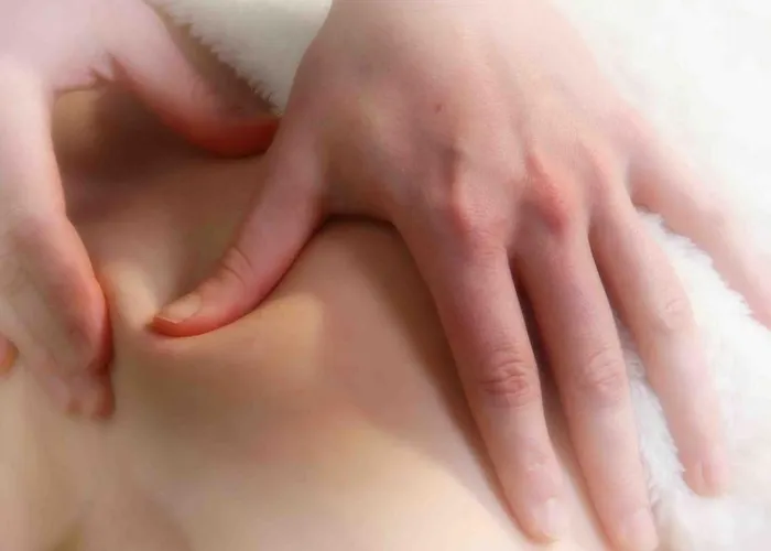 ホテル Hotelli Kansanlaeaekintaekeskus Kaustinen